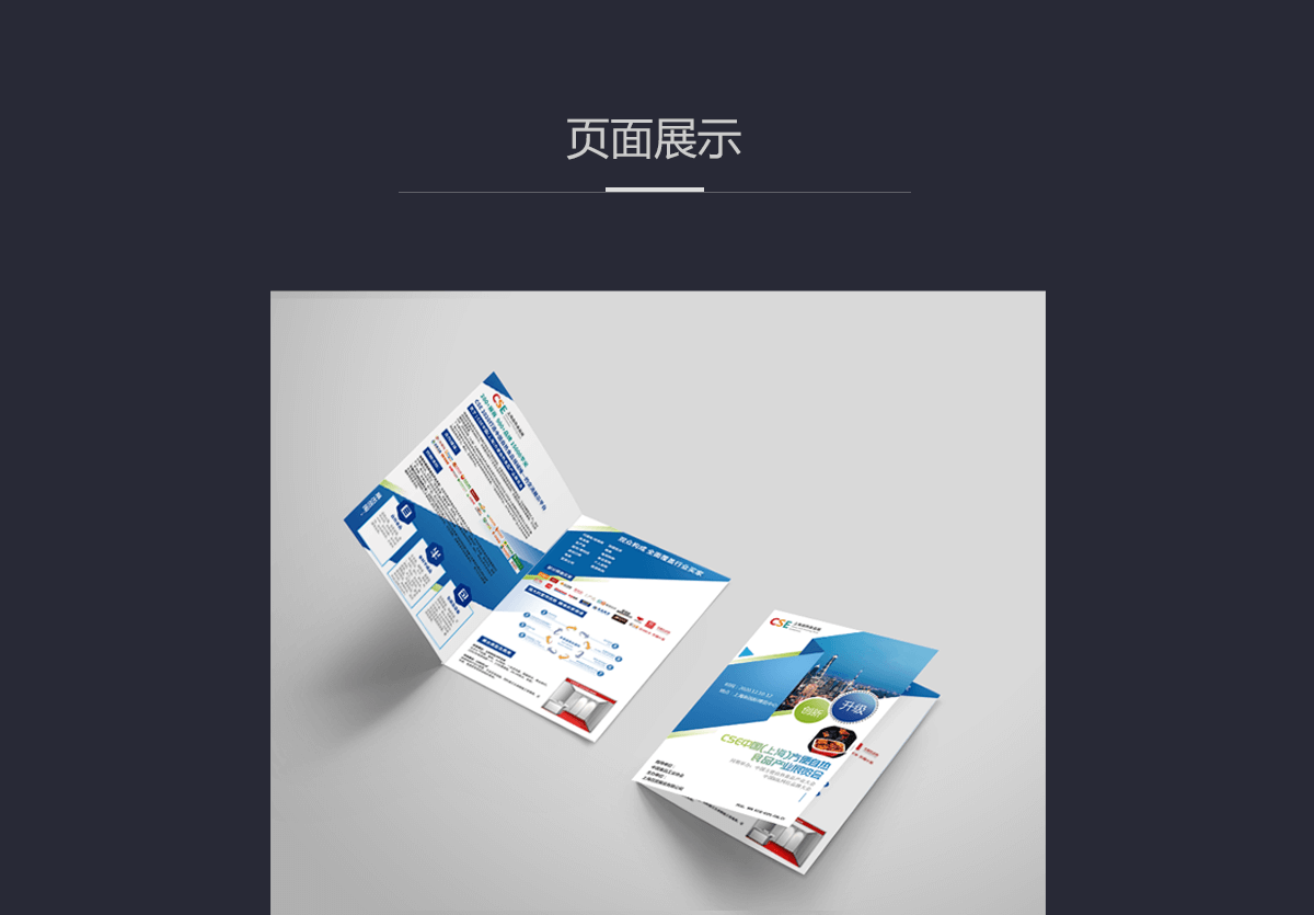 CSE中国（上海）方便自热食品产业展览会